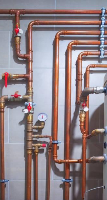 WhatsApp Image 2025-12-12 at 10.24.02 AM (1)